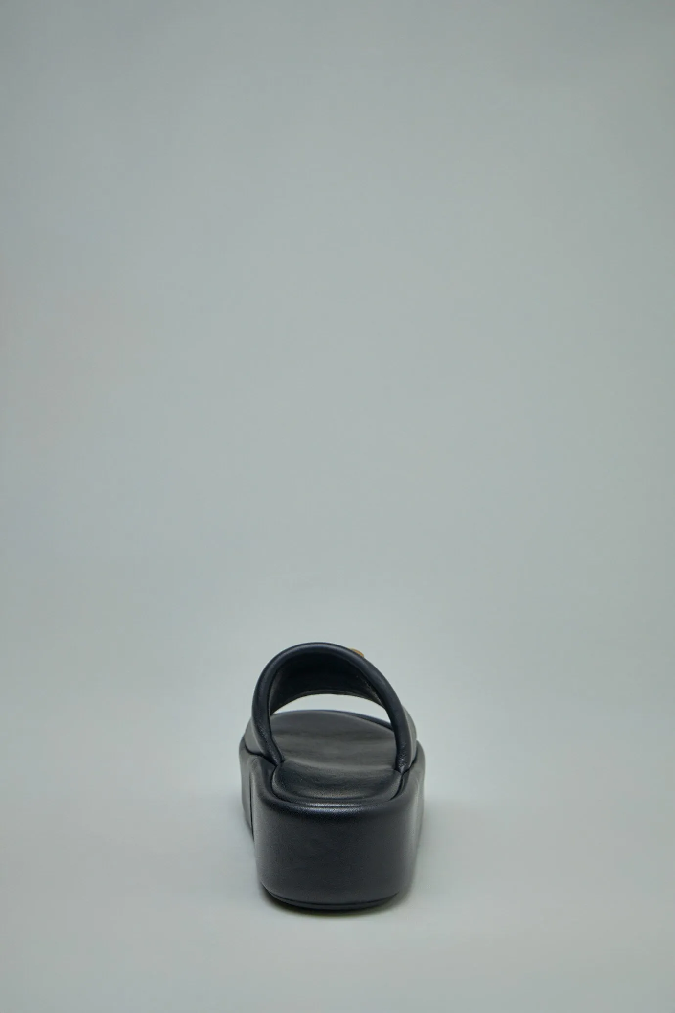 Rise Slide Shiny